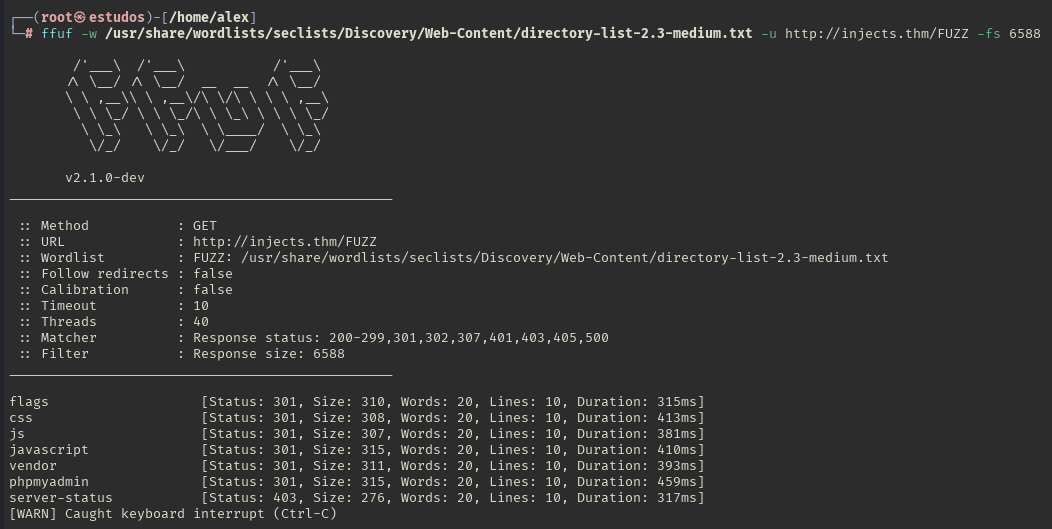 injectics-ctf-ffuf-initial