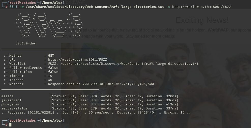 Fuzzing_port_8081